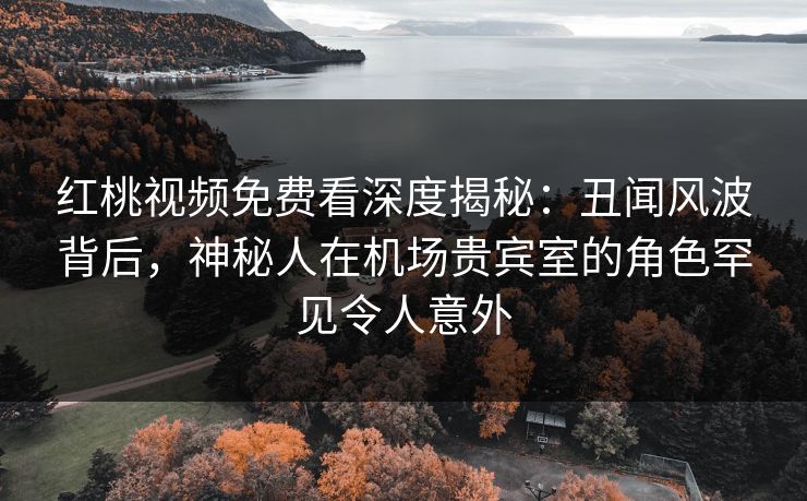红桃视频免费看深度揭秘：丑闻风波背后，神秘人在机场贵宾室的角色罕见令人意外