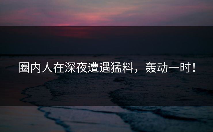 圈内人在深夜遭遇猛料，轰动一时！