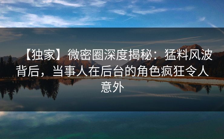 【独家】微密圈深度揭秘：猛料风波背后，当事人在后台的角色疯狂令人意外